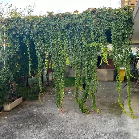 דירה Roma *